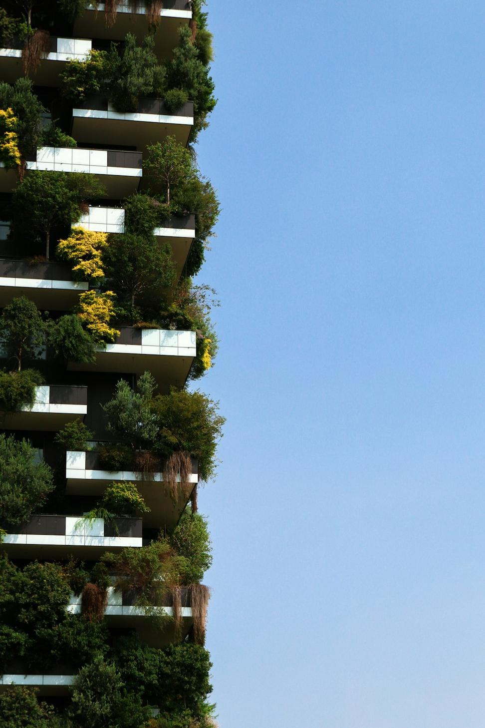 Sustainability Consulting